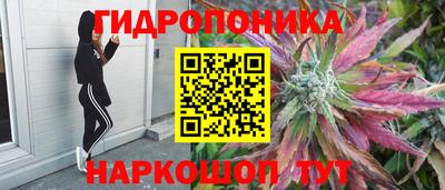метамфетамин Гай