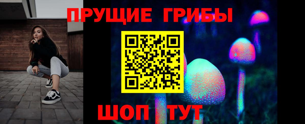Медногорск  Псилоцибиновые грибы Psilocybine cubensis  Вход с VPN 